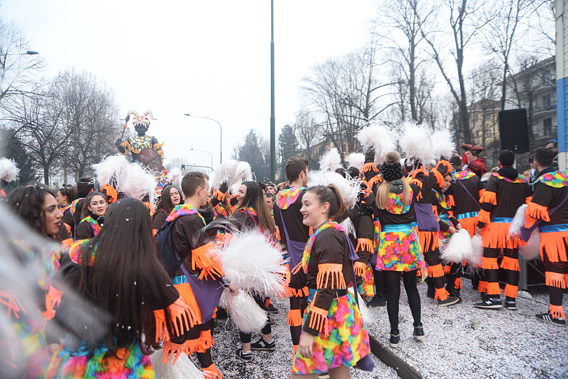 Sfilata carri Carnevale di Torino_429.jpg